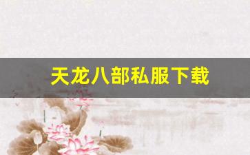 天龙八部私服下载(天龙手游私sf下载) (13)