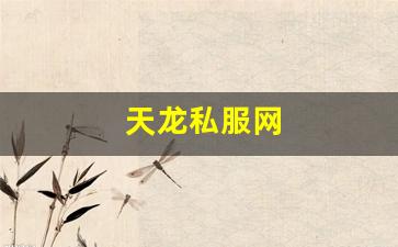 天龙私服网 (11)