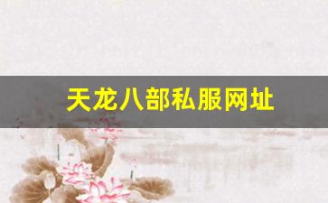 66天龙八部发布网址是多少：天龙八部私服网址 (12)