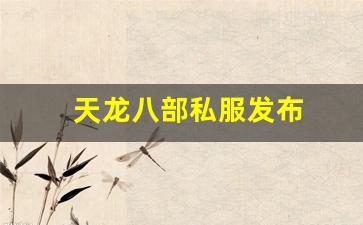 久久天龙：天龙八部私服发布(新天龙八部体验服官网) (4)
