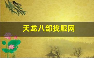 天龙八部找服网(天龙八部服务器端下载)