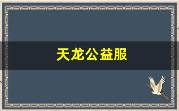 天龙公益服(天龙公益服发布2024年最新消息) (2)