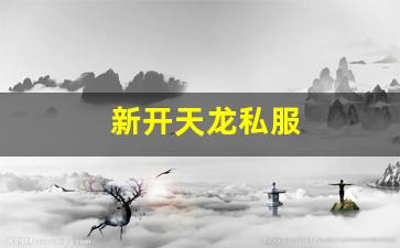 新开天龙私服 (16)
