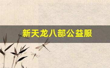 龙八部sf布网：新天龙八部公益服(新天龙八部官网公告) (3)