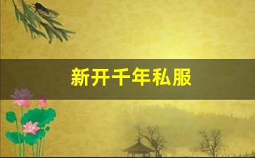 新开千年私服 (14)