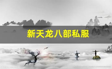 新天龙八部私服 (11)