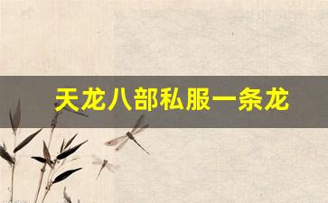 好好天龙八部发布网：天龙八部私服一条龙(天龙开服一条龙) (5)