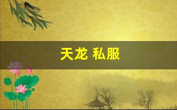 天龙 私服(天龙手游私sf下载) (15)